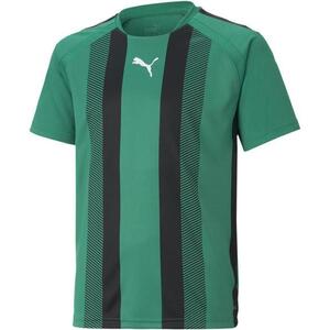 teamLIGA Striped Jersey Jr kép