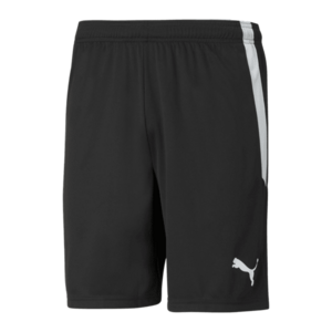 teamLIGA Shorts kép