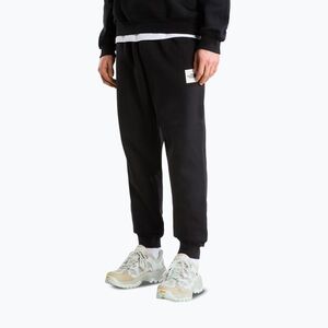 Férfi nadrág The North Face Evo Box Half Dome Regular Tappered tnf black (Evo Box Half Dome Regular Tappered NF0A8JB0JK31) kép