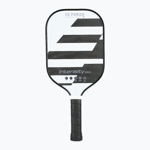 Pickleball ütő FZ Forza Intensity 500 black (Intensity 500 Pickleball FZ230305) kép