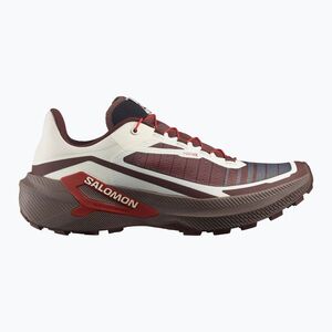 Férfi futócipők Salomon Genesis 2 vanilla ice/iron (Genesis 2 L45474200) kép