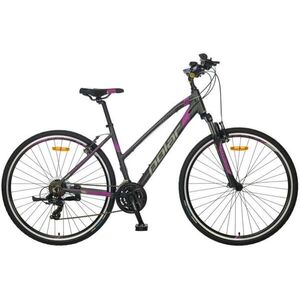 Forester Comp 28 Lady kép