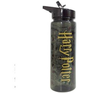 Harry Potter Logo 750 ml EWA91450HP kép