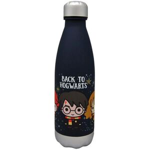 Harry Potter Hogwarts 650 ml EWA072HP kép