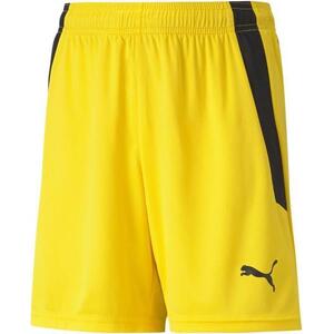 teamLIGA Shorts Jr kép