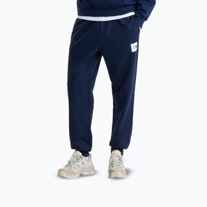 Férfi nadrág The North Face Evo Box Half Dome Regular Tappered summit navy (Evo Box Half Dome Regular Tappered NF0A8JB08K21) kép