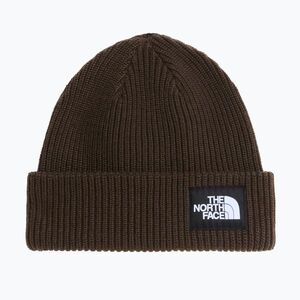 Téli sapka The North Face Salty Lined dark chestnut (Salty Lined NF0A8CGZNMF1) kép