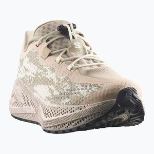 Női futócipők Salomon Aero Glide 4 GRVL tapioca/desert tan (Aero Glide 4 L45407300) kép