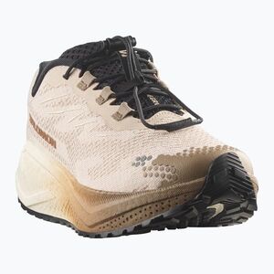 Női futócipők Salomon Aero Blaze 4 GRVL tapioca/vanilla ice (Aero Blaze 4 L45401900) kép