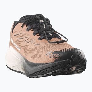Férfi futócipők Salomon Aero Blaze 4 GRVL burro/vanilla ice (Aero Blaze 4 L45400500) kép
