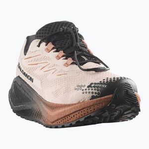 Női futócipők Salomon Aero Blaze 4 GRVL GTX vanilla ice/black (Aero Blaze 4 Gravel GTX L45403900) kép