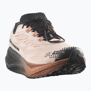 Férfi futócipők Salomon Aero Blaze 4 GRVL GTX vanilla ice/black (Aero Blaze 4 Gravel GTX L45403200) kép