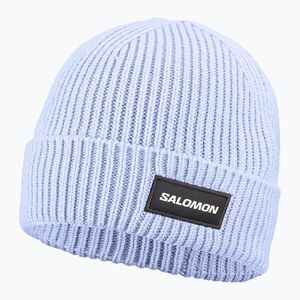 Téli sapka Salomon Classic brunnera blue (Classic LC2937900) kép