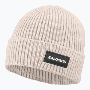 Téli sapka Salomon Classic silver cloud (Classic LC2937800) kép