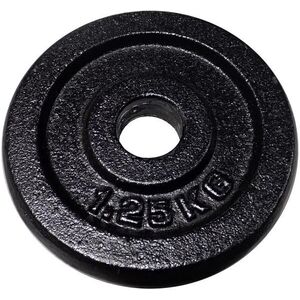 KUBIsport Öntöttvas tárcsa 1, 25 kg - 30 mm kép
