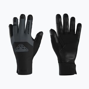 Síalpinizmus kesztyűk DYNAFIT Ridge Windstopper Gloves cinder/0910 (Ridge Windstopper 08-0000071878) kép
