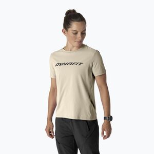 Női trekking póló Dynafit Traverse T-Shirt overcast (Traverse 08-0000072055) kép