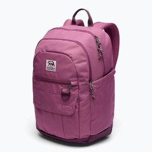 Városi hátizsák Columbia Buxton 26 l antique mauve/moonvista (Buxton 26 2121451552) kép