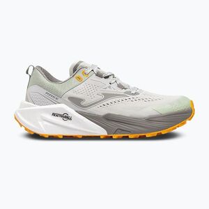 Férfi futócipők Joma Rase beige (Rase TKRASW2625) kép