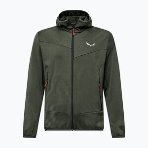Férfi trekking pulóver Salewa Puez Altavia PL HD Faded Green (Puez Altavia PL HD 00-0000029136) kép
