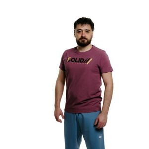 Férfi rövid ujjú póló AUTHORITY T-SOLID M burgundy kép