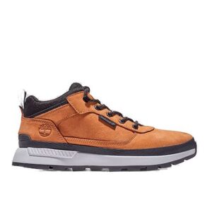 Férfi utcai cipő TIMBERLAND Field Trekker Low Lace Up M wheat kép