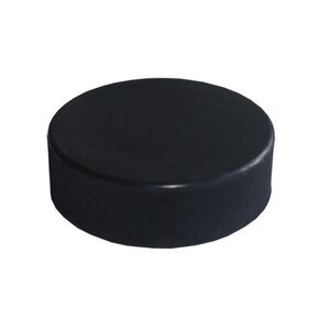 Puck VEGUM Puk JUNIOR BLACK kép