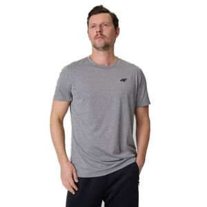 Férfi rövid ujjú edzőpóló 4F TSHIRT FNK M2140-25M-GREY MELANGE kép