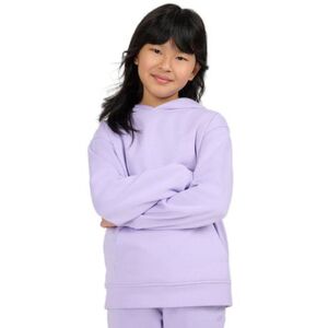Lány kapucnis pulóver 4F JUNIOR SWEATSHIRT F2323-51S-VIOLET kép