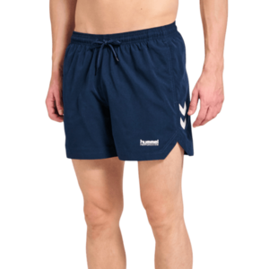 Pulse Swimming kép