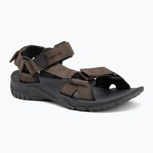 Jack Wolfskin férfi Lakewood Ride hideg kávé szandál (Lakewood Ride 4019021) kép
