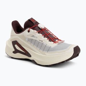 Női futócipők Salomon Genesis 2 vanilla ice/huckleberry (Genesis 2 L49309600) kép