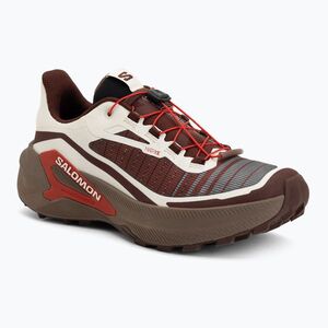Férfi futócipők Salomon Genesis 2 vanilla ice/iron (Genesis 2 L45474200) kép