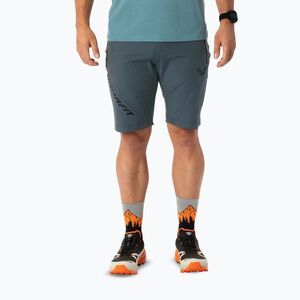 Férfi túrashort DYNAFIT Transalper Light Dynastretch cinder/0910 (Transalper Light Dynastretch 08-0000071322) kép