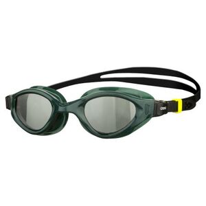 Úszószemüvegek ARENA CRUISER EVO kép