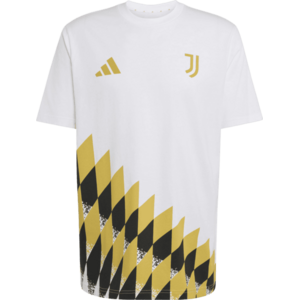 Juventus Stadium Graphic kép