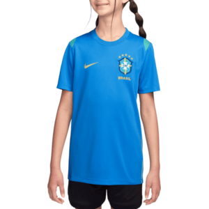 Dri-FIT Brazil Academy Pro 2026 Kids kép