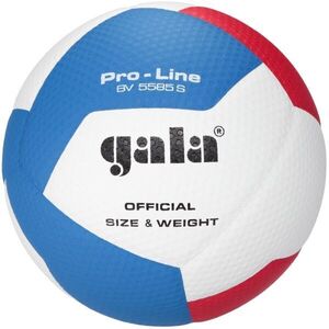 GALA BV5585 PRO-LINE 12 Röplabda labda, fehér, méret kép
