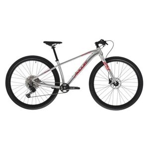 Junior hegyi kerékpár AMULET 29 Youngster 1.11 SH, alu brushed transparent red kép