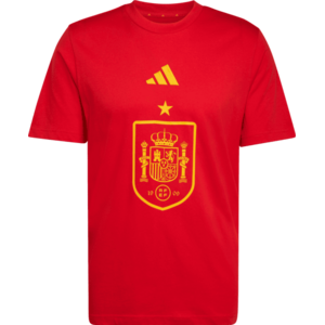 Spain DNA Graphic kép