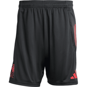 Liverpool FC Competition Training Shorts 2025/26 kép
