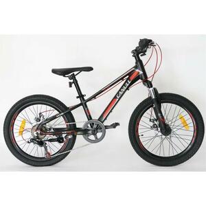 Canull XC 221 kép