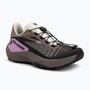 Női futócipő Salomon Genesis Iron/vanília jég/ciklámen (Genesis L47881000) kép
