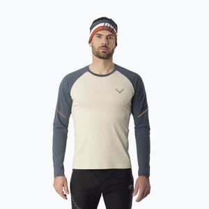 Férfi futó hosszú ujjú póló DYNAFIT Alpine Pro cinder overcast/7960 (Alpine Pro 08-0000071156) kép