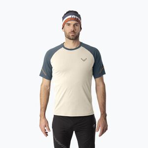 Férfi futó póló DYNAFIT Alpine Pro overcast/0720 (Alpine Pro 08-0000070964) kép