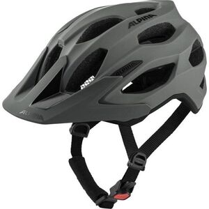 Alpina Carapax 2.0 coffe-grey matt 52-57 cm kép