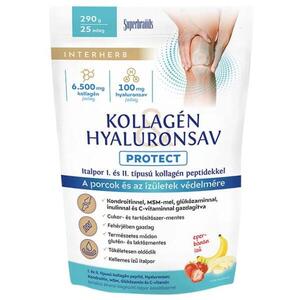 Kollagén & Hyaluronsav Protect italpor 290 g kép