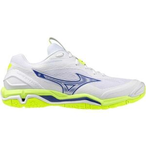 Mizuno WAVE STEALTH 6 Férfi teremcipő, fehér, méret 44.5 kép