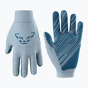 Sítúra kesztyű DYNAFIT Upcycled Thermal blue fog (Upcycled Thermal 08-0000071369) kép