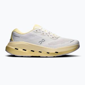 Férfi futócipők On Cloudrunner 3 Max ivory/dijon (Cloudrunner 3 Max 3MG30205065) kép